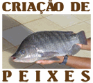 Cria��o de Peixes # Curso Completo de Piscicultura