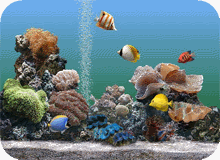 Curso de aquariofilia